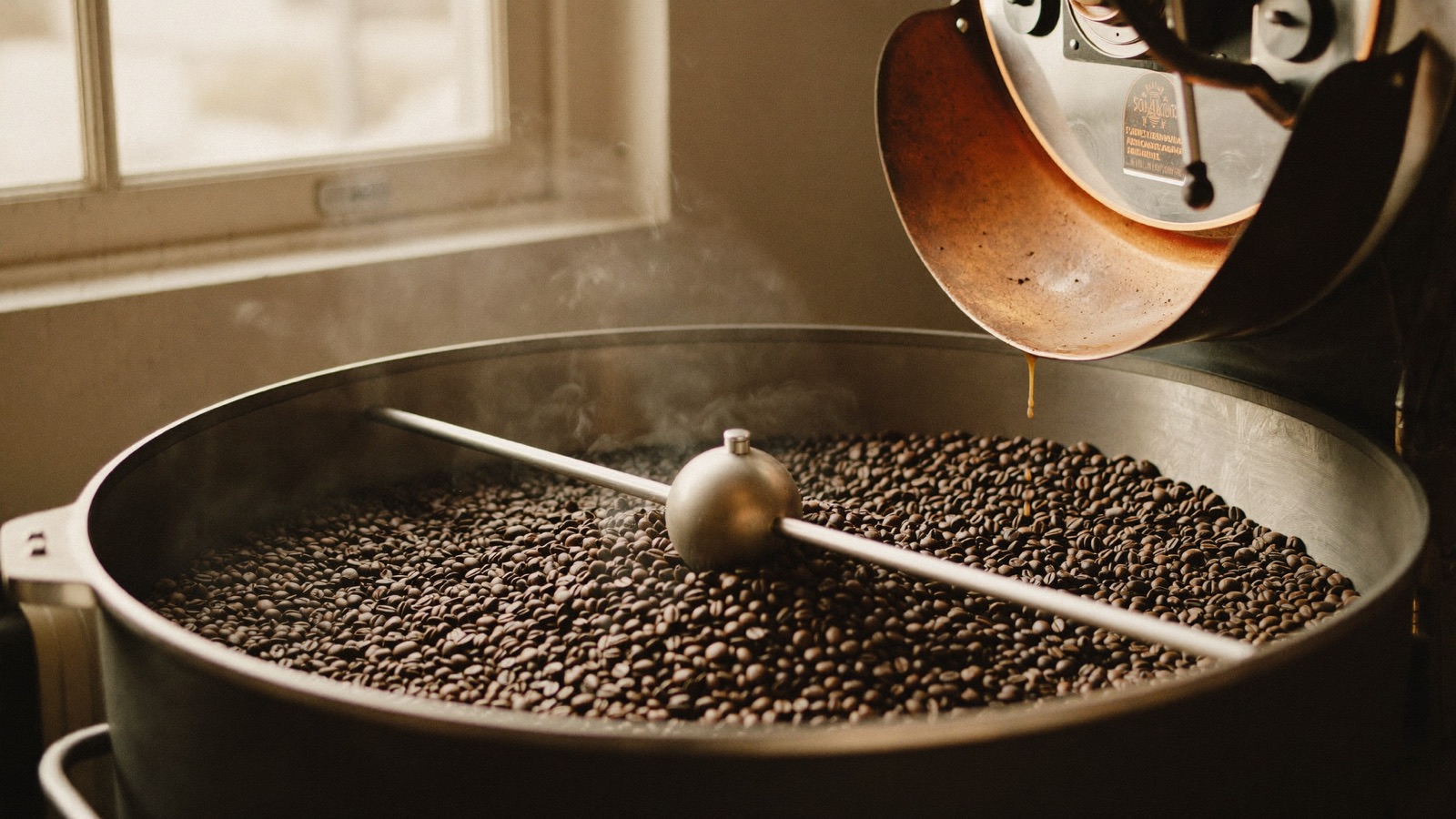 Freshly roasted coffee beans tumbling out of the roaster's drum into the cooling tray in the boathouse roastery